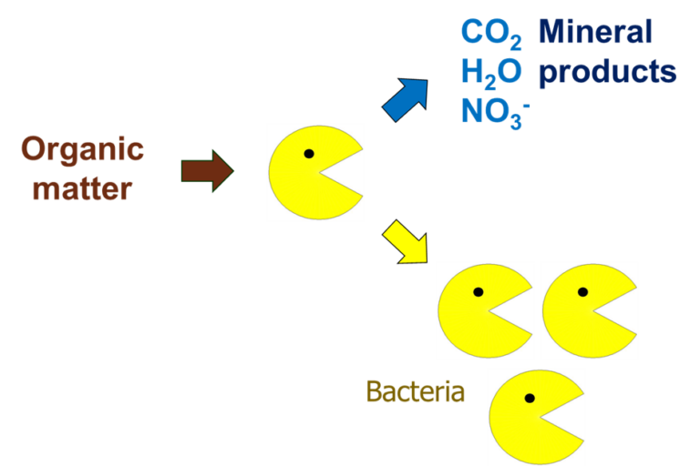 A graphic to show biochemical pathways, aerobic treatment