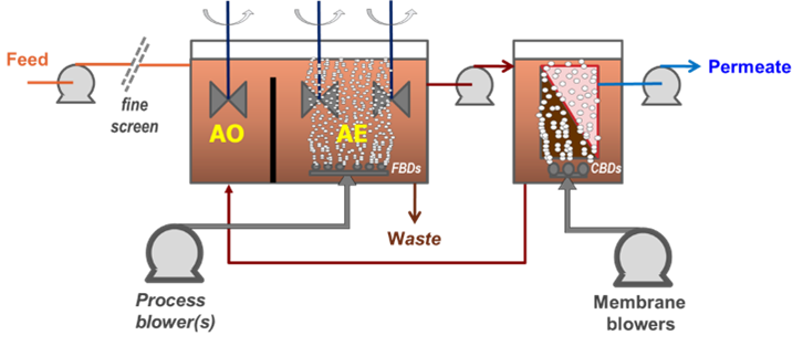 Immersed MBR process configurations