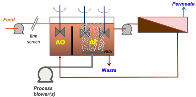 Sidestream MBR process configuration