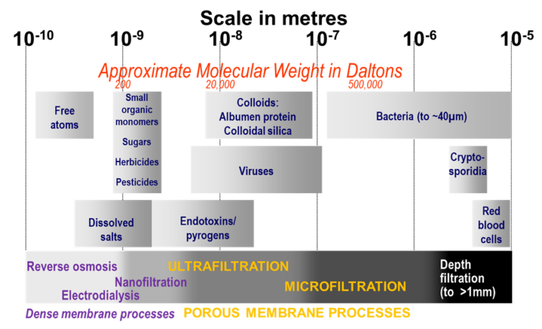 Membrane process spectrum, indicating pore size ranges of dense and porous membranes