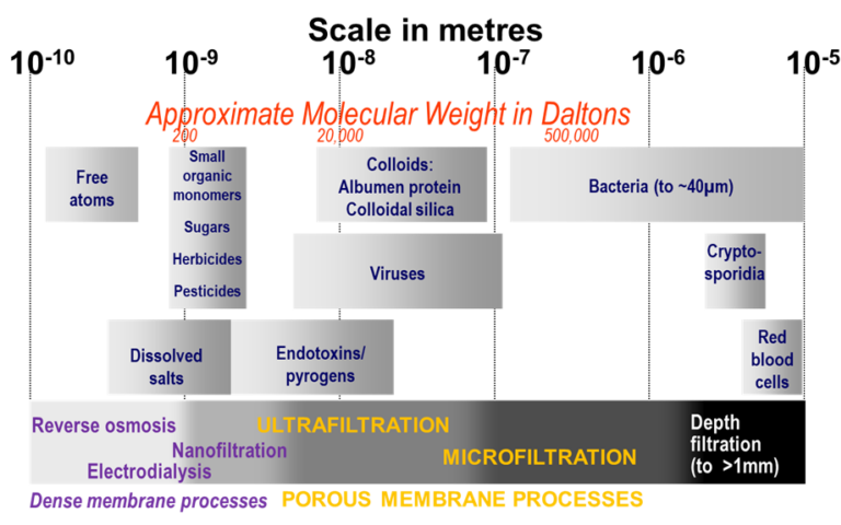 Membrane process spectrum, indicating pore size ranges of dense and porous membranes