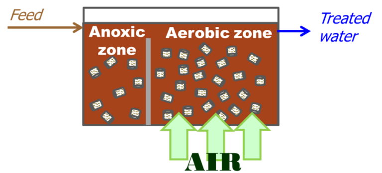 The moving bed bioreactor, with media added to both the anoxic and aerobic zones of the bioreactor