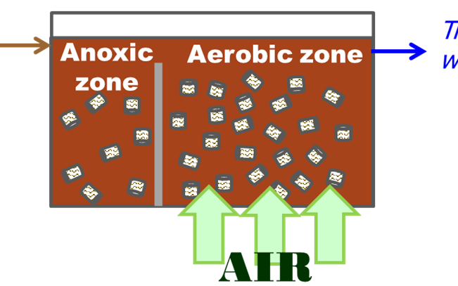 The moving bed bioreactor, with media added to both the anoxic and aerobic zones of the bioreactor