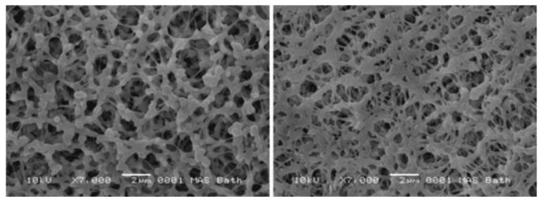 Scanning electron micrograph of virgin material and recovered membrane