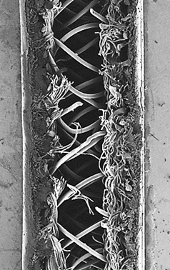 Scanning electron micrograph of Microdyn Nadir/MANN+HUMMEL BIO-CEL membrane cross-section showing central spacer