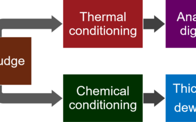 Sludge stabilisation and conditioning | The MBR Site