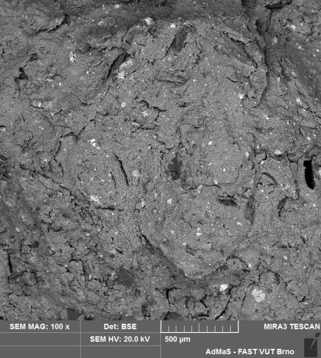 Figure 3. SEM of biochar, indicating white deposits