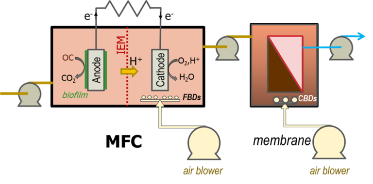 An image of a two-stage MFC-MBR: OC organic carbon, IEM ion-exchange membrane (for selectively passing H+ ions), FBD fine-bubble diffusers, CBD coarse-bubble diffusers