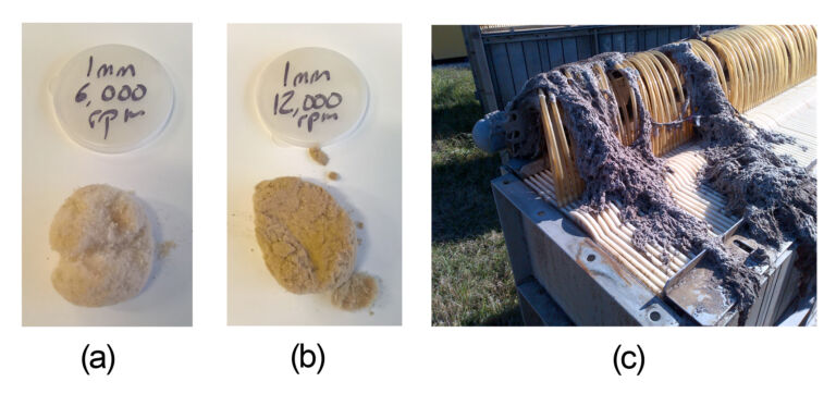 Blog Nov 17 Origins Of Ragging Fig 1