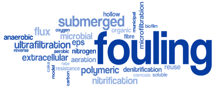 Word cloud of terms in keywords of research articles, from Santos et al (2011)