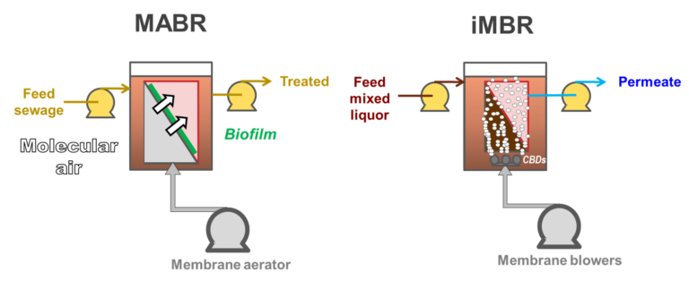 Schematics: MABR vs iMBR