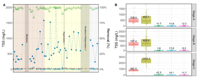 TSS profiles over the three testing stages, including periods of dormancy; boxplots of TSS (B) at the different treatment stages