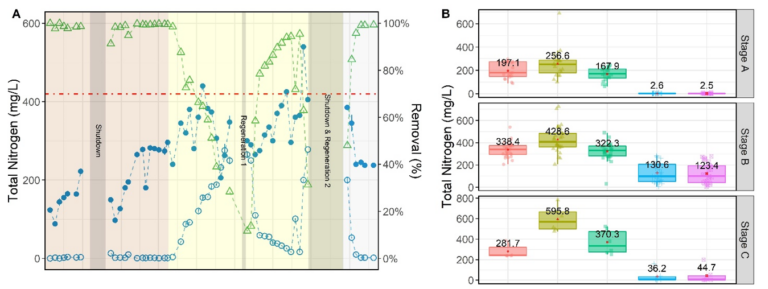 TN and TP profiles over the three testing stages, with corresponding boxplots