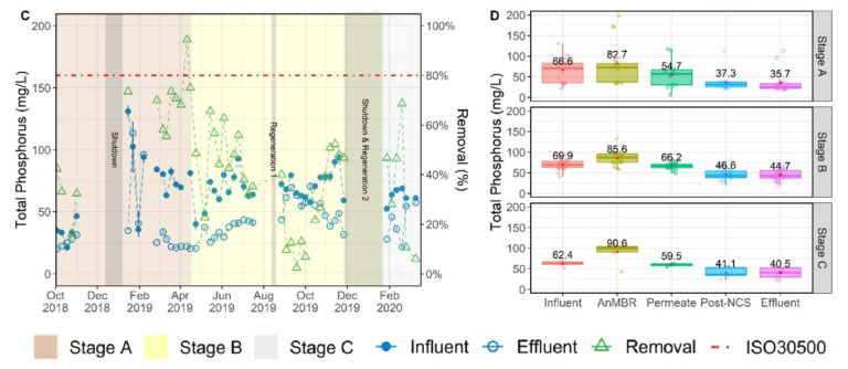 TN and TP profiles over the three testing stages, with corresponding boxplots