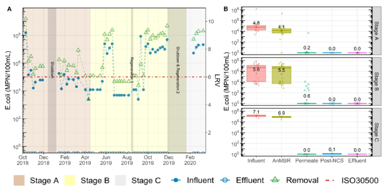 E. coli profile over the three testing stages, with corresponding boxplots