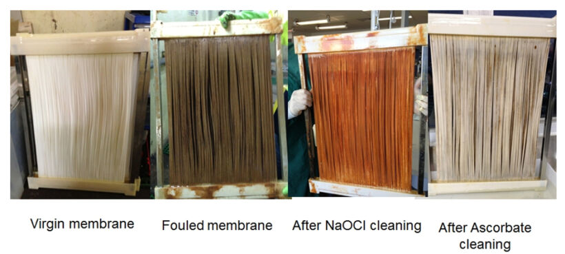 Figure 10.  Impact of different cleaning reagents | Feat Ferric And Ferrous Fig 10