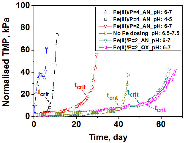 Normalised TMP of MBRs with the critical fouling after Fe(III) and Fe(II) dosing with the different dosing regimes: AN-anoxic chamber; OX-aerobic chamber. Arrow represents the sub-critical fouling time (t<sub>crit</sub>) after which fouling becomes much more severe. Flux of 16.7 LMH (Credit: Water Research/J. Membrane Sci)