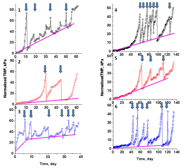Normalised TMP of MBRs after Fe(III) and Fe(II) dosing for the various different dosing regimes used. Arrows indicate when rinsing was undertaken. The straight line represents the accumulation of irreversible fouling over the period of operation (Credit: Water Research/J. Membrane Sci)