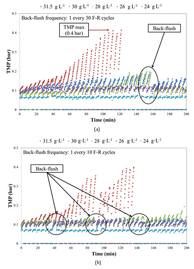 TMP evolution for different MLTS concentrations for a back-ﬂush frequency of: (a) 1 back-ﬂush every 30 F−R cycles; and (b) 1 back-ﬂush every 10 F−R cycles