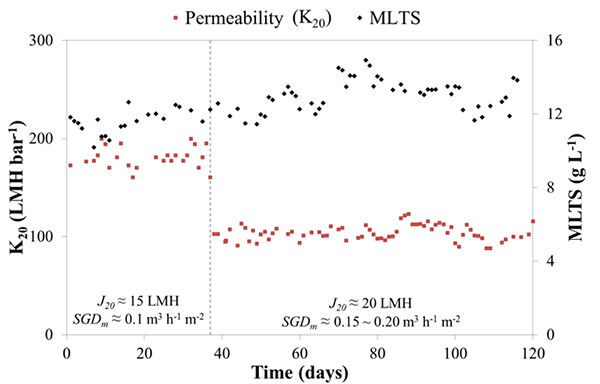 K<sub>20</sub> profile for 15 and 20 LMH operation around 13 g/L MLTS