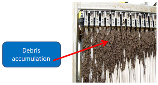 Membrane fouling