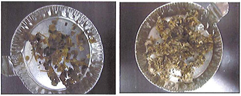Example of collection: 2.0 mm sieve (left); Example of collection: 1.0 mm sieve (right)