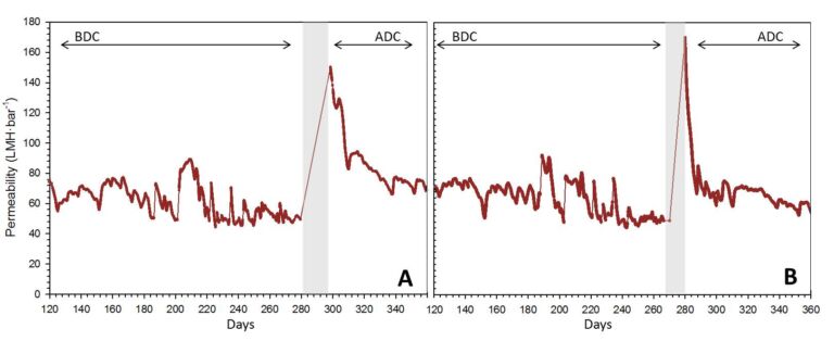 Permeability values of each tank during 2011. A, Permeability tank A; B, permeability tank B. BDC: Before Declogging. ADC: After Declogging. Shaded region indicates declogging