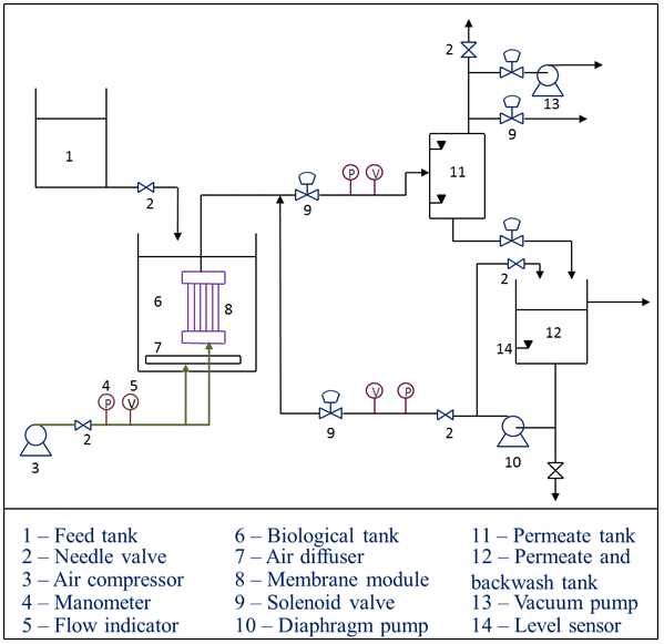 Experimental set-up