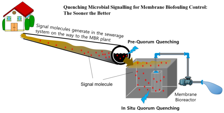 Illustration of quorum quenching microbial signalling for membrane biofouling control (Yu et al)