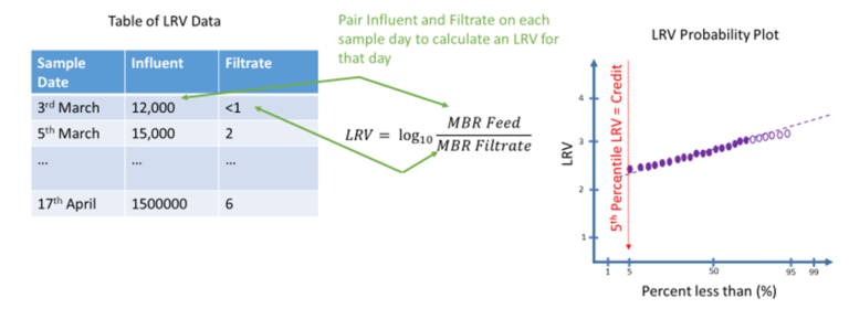 Calculation of same day paired LRV from wastewater influent and MBR filtrate concentrations (sampled on the same day) and subsequent probability plot generation