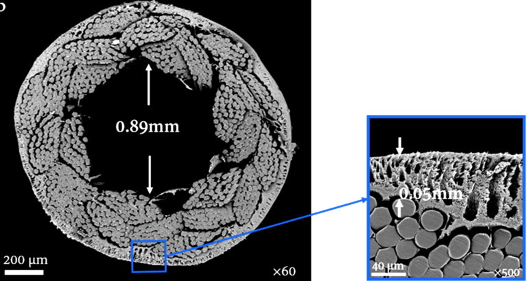 Cross-section through a reinforced PVDF fibre, showing the braided core