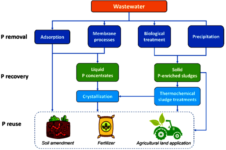 Phosphorus recovery routes