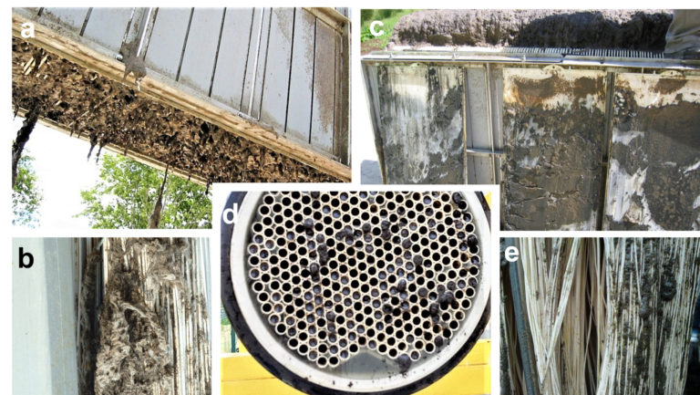 Composite picture of ragged and sludged MBR membranes