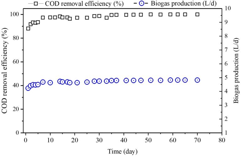 COD removal efficiency biogas production (L/d) from the AnMBR