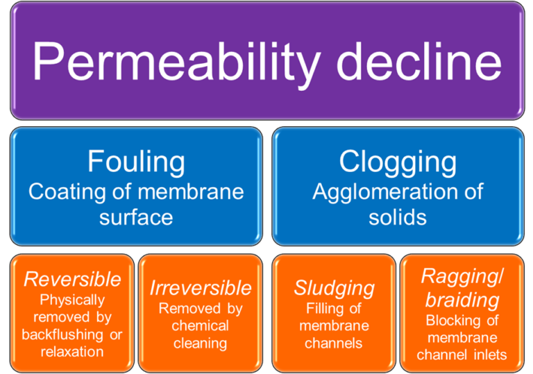 Figure 1.  Fouling and clogging in MBRs