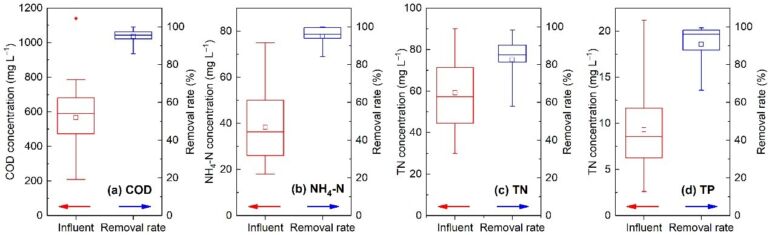 Fig. 6.  Reported treatment performance from published literature of typical full-scale MBRs in removing (a) COD, (b) NH4+-N, (c) TN, and (d) TP