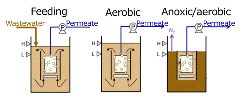 The BMBR cycle with alternating feeding and drawing (figure adapted from Kimura et al. 2008 (DOI: 10.1016/j.watres.2007.08.012))