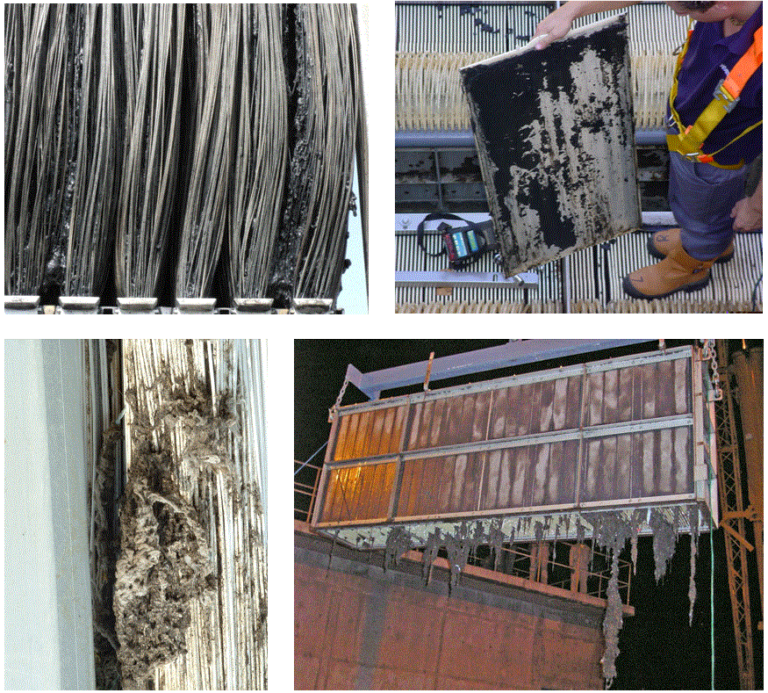 Examples of ragging in MBRs: sludging (middle) and ragging (bottom) of HF and FS MBR membranes