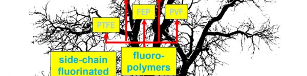 Image of tree with overlaid PFAS chemical heirarchy