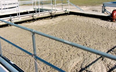 Nocardia foaming in the process tank of an activated sludge plant