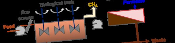 Schematic AnsMBR