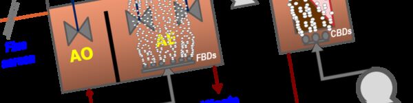 A graphic of a complete immersed MBR treatment scheme