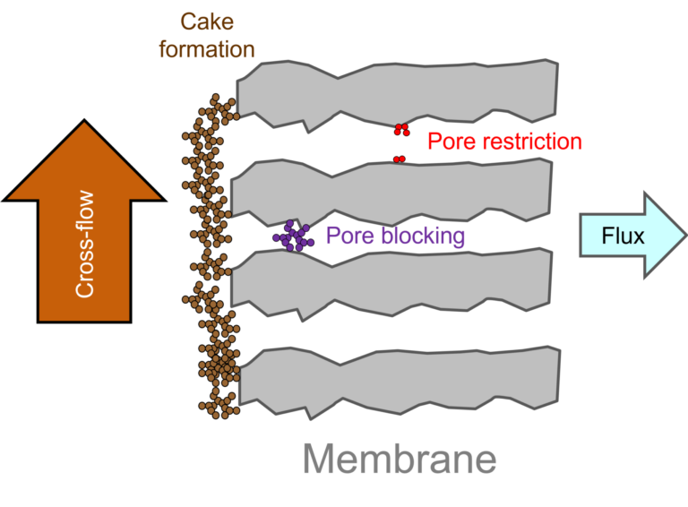 Fouling mechanisms, schematic