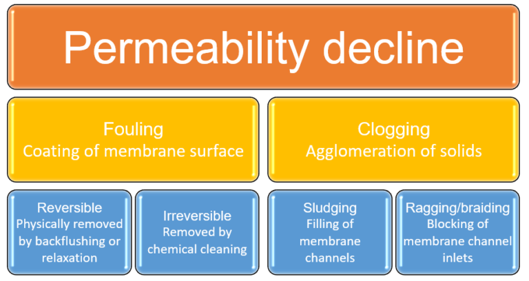 Graphic to illustrate 'Permeability decline in MBRs − fouling and clogging'. Fouling is split into Reversible and Irreversible fouling. Clogging is split into Sludging and Ragging/braiding.