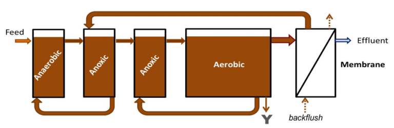 Example of biological P removal process