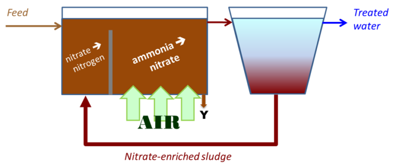 A graphic to illustrate N removal by the Modified Ludzack−Ettinger process