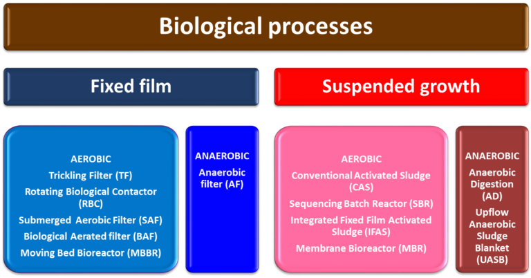 A graphic to show the biological processes in an MBR: fixed film vs suspended growth, and all subsections.