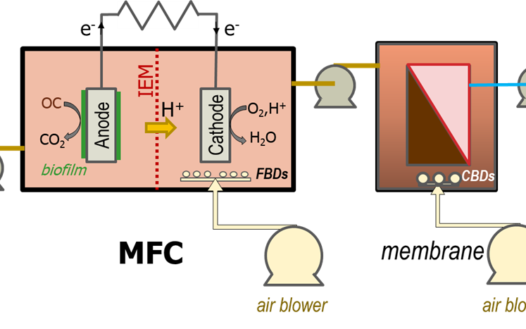 Two-stage MFC-MBR: OC organic carbon, IEM ion-exchange membrane (for selectively passing H+ ions), FBD fine-bubble diffusers, CBD coarse-bubble diffusers