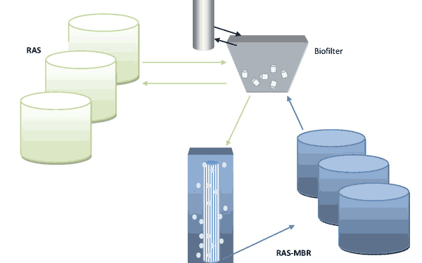 Feat Aquaculture Fig 1