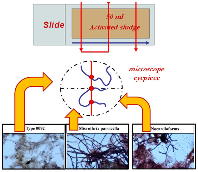 Filamentous intersections